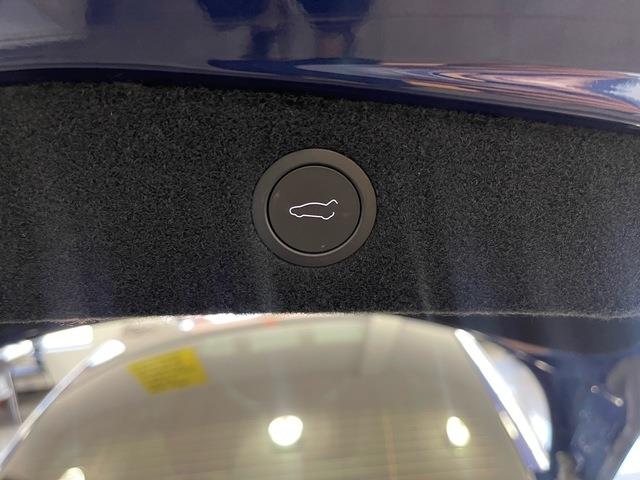 2025 Tesla Model 3 (CC-2096431) for sale in Jacksonville, Florida