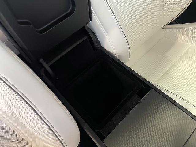 2025 Tesla Model 3 (CC-2096431) for sale in Jacksonville, Florida