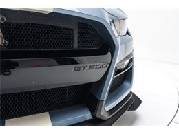 2022 Ford Shelby GT500  (CC-2096433) for sale in Fort Lauderdale, Florida