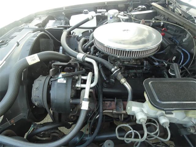 1986 Chevrolet El Camino (CC-2096446) for sale in Sarasota, Florida
