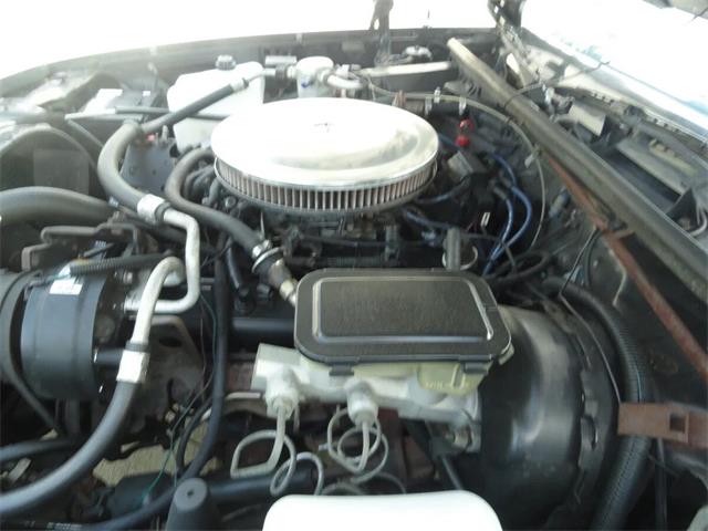 1986 Chevrolet El Camino (CC-2096446) for sale in Sarasota, Florida