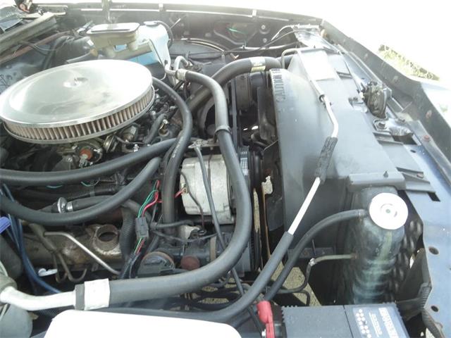 1986 Chevrolet El Camino (CC-2096446) for sale in Sarasota, Florida