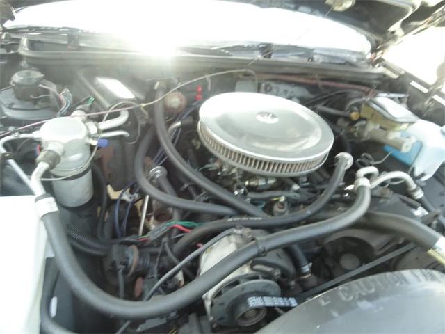 1986 Chevrolet El Camino (CC-2096446) for sale in Sarasota, Florida