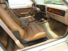 1983 Zimmer Golden Spirit (CC-2096449) for sale in Sarasota, Florida