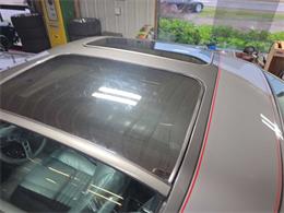 1979 Pontiac Firebird Trans Am (CC-2096477) for sale in Spirit Lake, Iowa