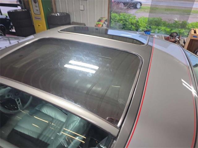 1979 Pontiac Firebird Trans Am (CC-2096477) for sale in Spirit Lake, Iowa