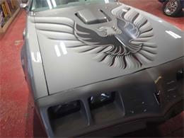 1979 Pontiac Firebird Trans Am (CC-2096477) for sale in Spirit Lake, Iowa