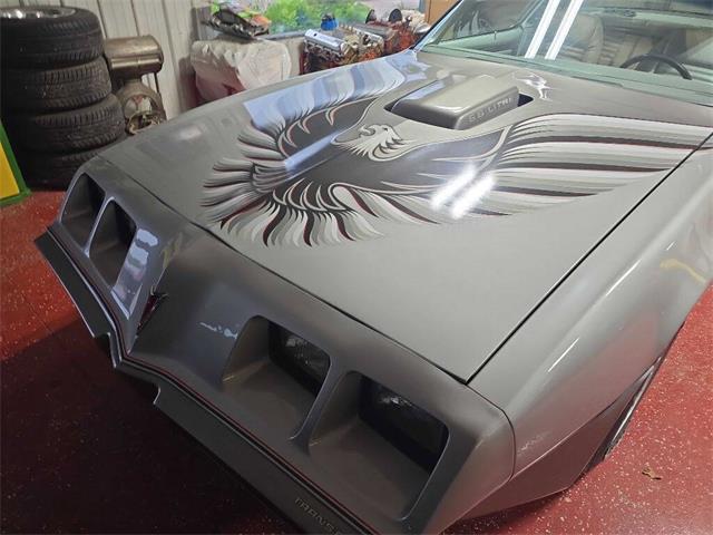 1979 Pontiac Firebird Trans Am (CC-2096477) for sale in Spirit Lake, Iowa