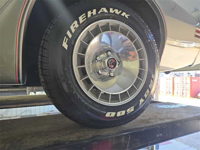 1979 Pontiac Firebird Trans Am (CC-2096477) for sale in Spirit Lake, Iowa
