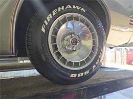 1979 Pontiac Firebird Trans Am (CC-2096477) for sale in Spirit Lake, Iowa