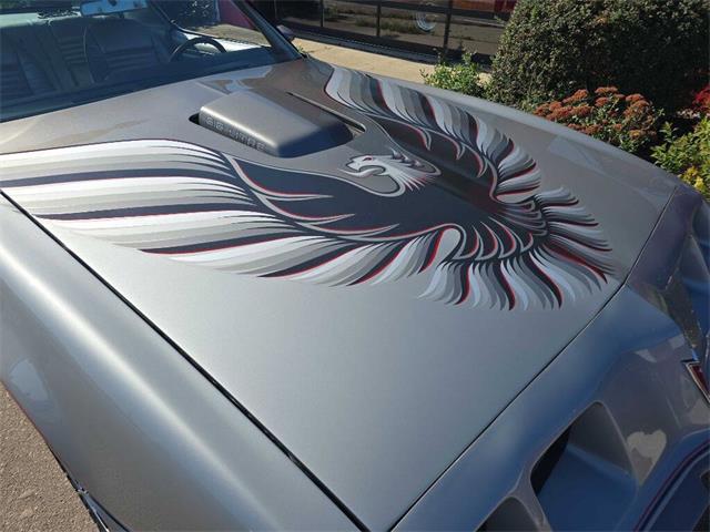 1979 Pontiac Firebird Trans Am (CC-2096477) for sale in Spirit Lake, Iowa