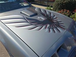 1979 Pontiac Firebird Trans Am (CC-2096477) for sale in Spirit Lake, Iowa