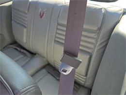 1979 Pontiac Firebird Trans Am (CC-2096477) for sale in Spirit Lake, Iowa