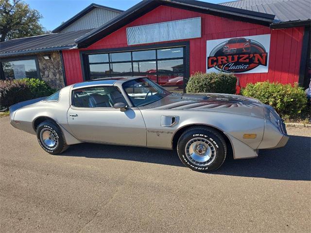 1979 Pontiac Firebird Trans Am (CC-2096477) for sale in Spirit Lake, Iowa