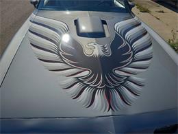 1979 Pontiac Firebird Trans Am (CC-2096477) for sale in Spirit Lake, Iowa