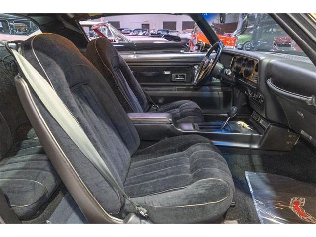 1977 Pontiac Firebird Trans Am SE (CC-2090065) for sale in Rogers, Minnesota