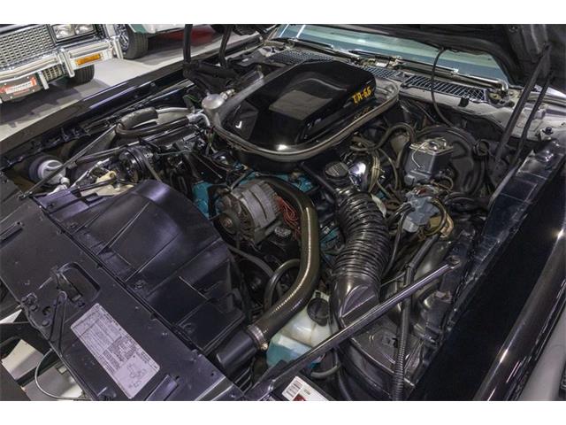 1977 Pontiac Firebird Trans Am SE (CC-2090065) for sale in Rogers, Minnesota