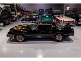 1977 Pontiac Firebird Trans Am SE (CC-2090065) for sale in Rogers, Minnesota