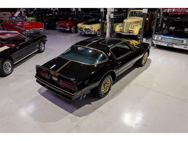 1977 Pontiac Firebird Trans Am SE (CC-2090065) for sale in Rogers, Minnesota