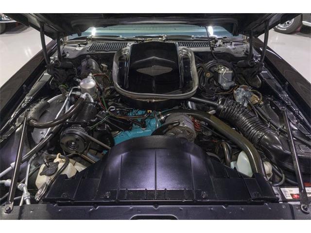 1977 Pontiac Firebird Trans Am SE (CC-2090065) for sale in Rogers, Minnesota