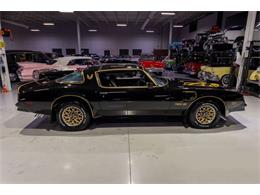 1977 Pontiac Firebird Trans Am SE (CC-2090065) for sale in Rogers, Minnesota
