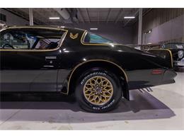 1977 Pontiac Firebird Trans Am SE (CC-2090065) for sale in Rogers, Minnesota