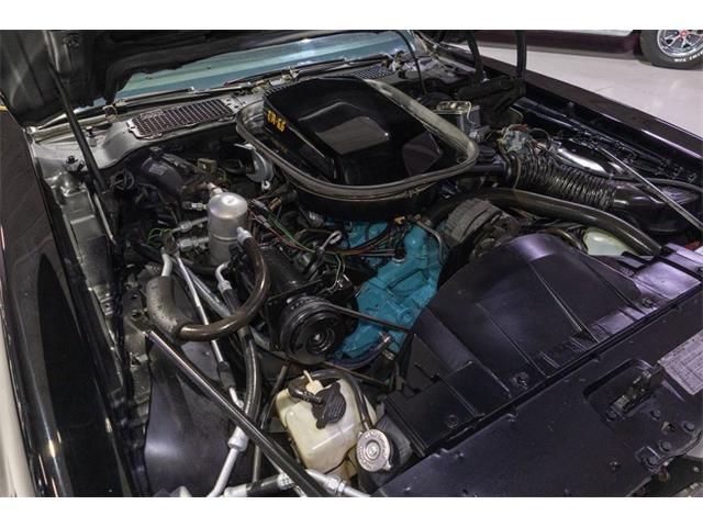 1977 Pontiac Firebird Trans Am SE (CC-2090065) for sale in Rogers, Minnesota