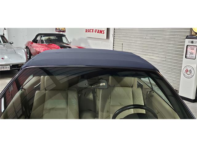 2005 BMW 330ci (CC-2096519) for sale in Hudson, Florida