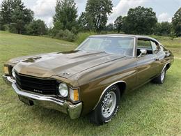 1972 Chevrolet Chevelle (CC-2096539) for sale in Traverse City , Michigan