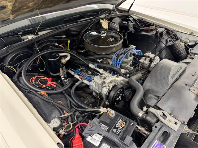 1981 Lincoln Mark VI (CC-2096572) for sale in Morgantown, Pennsylvania
