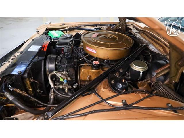 1965 Ford Thunderbird (CC-2096630) for sale in New Braundfels, Texas