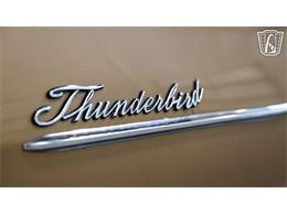 1965 Ford Thunderbird (CC-2096630) for sale in New Braundfels, Texas