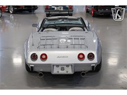 1975 Chevrolet Corvette (CC-2096632) for sale in New Braundfels, Texas