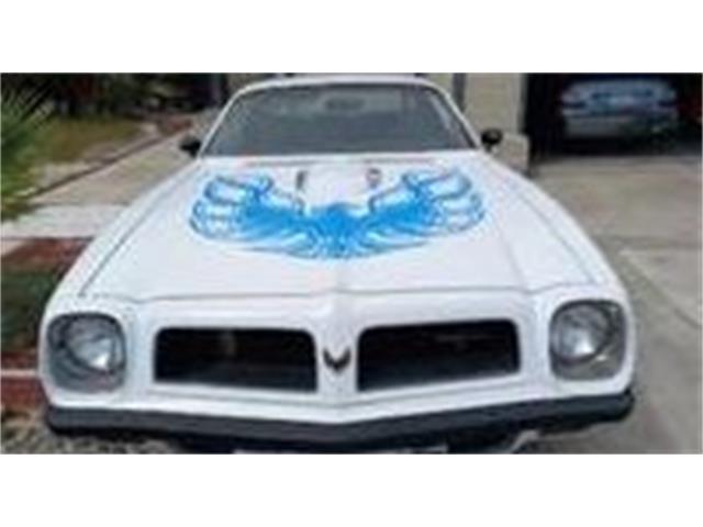 1974 Pontiac Firebird (CC-2096653) for sale in Cadillac, Michigan