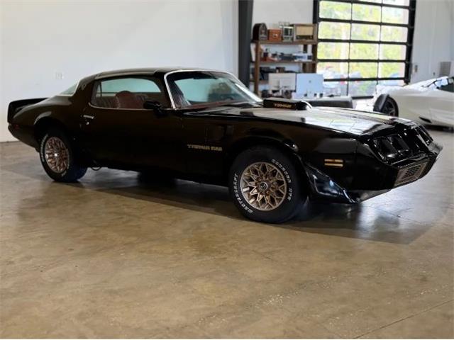1979 Pontiac Firebird Trans Am (CC-2096654) for sale in Cadillac, Michigan