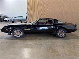 1979 Pontiac Firebird Trans Am (CC-2096654) for sale in Cadillac, Michigan