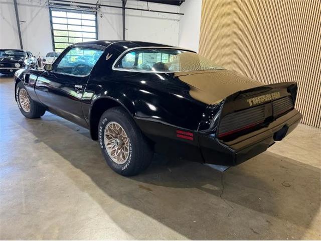 1979 Pontiac Firebird Trans Am (CC-2096654) for sale in Cadillac, Michigan