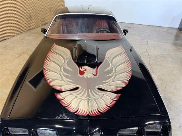 1979 Pontiac Firebird Trans Am (CC-2096654) for sale in Cadillac, Michigan