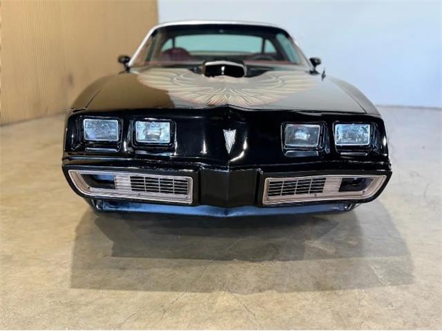 1979 Pontiac Firebird Trans Am (CC-2096654) for sale in Cadillac, Michigan