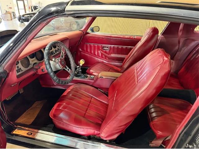 1979 Pontiac Firebird Trans Am (CC-2096654) for sale in Cadillac, Michigan