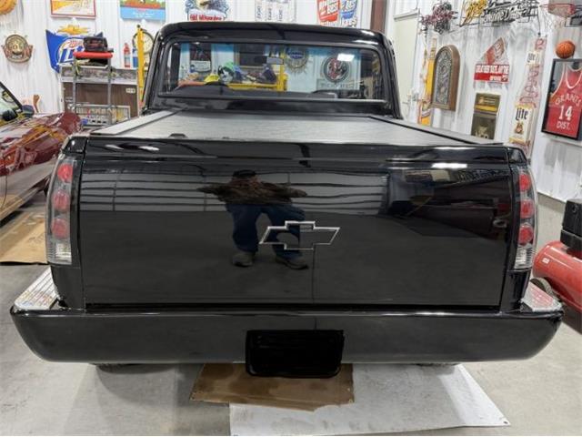 1969 Chevrolet C10 (CC-2096669) for sale in Cadillac, Michigan