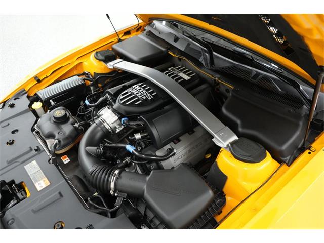 2013 Ford Mustang Boss 302 (CC-2090670) for sale in Homer City, Pennsylvania