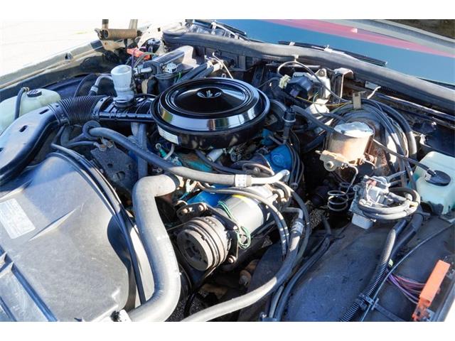1978 Chevrolet Caprice (CC-2096719) for sale in Ramsey, Minnesota
