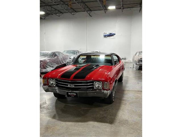 1972 Chevrolet Chevelle (CC-2090673) for sale in Cadillac, Michigan