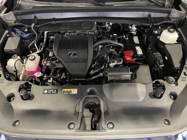2024 Lexus RX350 (CC-2096731) for sale in Jacksonville, Florida