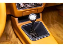 1979 Pontiac Firebird Trans Am (CC-2096757) for sale in Elkhart Lake, Wisconsin