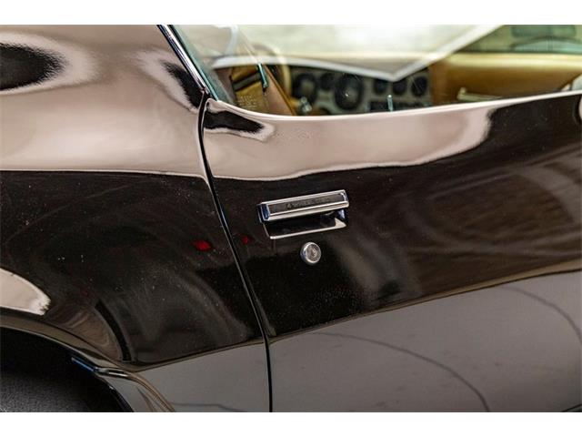 1979 Pontiac Firebird Trans Am (CC-2096757) for sale in Elkhart Lake, Wisconsin