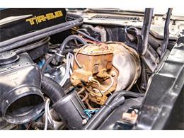 1979 Pontiac Firebird Trans Am (CC-2096757) for sale in Elkhart Lake, Wisconsin