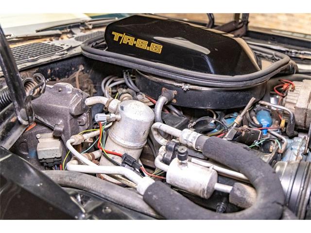 1979 Pontiac Firebird Trans Am (CC-2096757) for sale in Elkhart Lake, Wisconsin