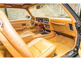1979 Pontiac Firebird Trans Am (CC-2096757) for sale in Elkhart Lake, Wisconsin